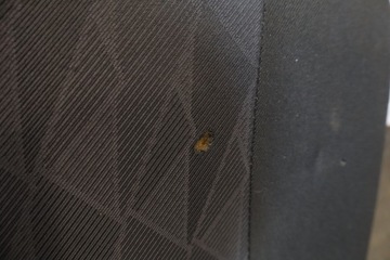 фото thumb №12, Сиденья диван обшивки комплект c-elysee ii рестайлинг