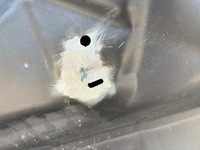 фото thumb №9, Капот ds4 lift 15-