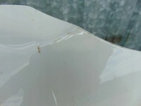 фото thumb №12, Капот крышка двигателя skoda octavia iii lift