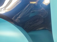 фото thumb №16, Крила лівий перед audi a4 b8 przedlift lz5a