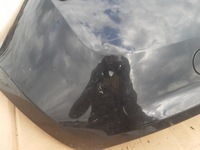 фото thumb №9, Бампер задняя 4x pdc renault clio iii