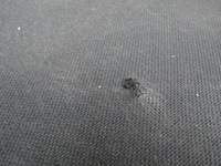 фото thumb №13, Megane iii 15r сиденье водителя пассажира сиденья комплект сидений заднее сиденье kpl eu