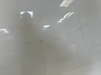 фото thumb №3, Tesla y капот