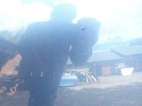 Капот перед комплект . citroen c4 picasso 2 kgqc 13-19 r. в Україні, фото thumb