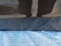 фото thumb №9, Дверь левый задняя mercedes glc x253 w253 197 c197