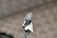 фото thumb №8, Audi q3 8u задня права ступиця колеса 3c0505436g 2.0 дизель 130kw 2013