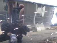 фото thumb №5, Peugeot 308 ii t9 двері правий задня ktvd hb