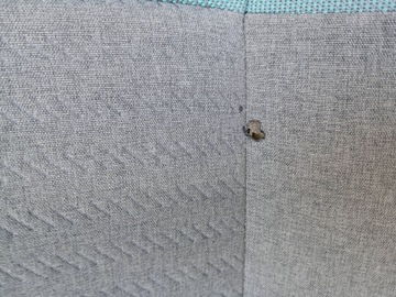 фото thumb №13, Citroen berlingo iv partner combo сидіння диван європа 2019r