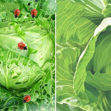 МАКСИМАЛЬНАЯ САДОВАЯ СЕТКА, ОВОЩНАЯ СЕТКА, СЕТКА ДЛЯ НАСЕКОМЫХ ДЛЯ ТЕПЛИЦЫ 2,5X6M 60 МЕШ.