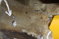 фото thumb №9, Піддон основа картера кронштейн mitsubishi outlander iii 2.0 16v 4b11