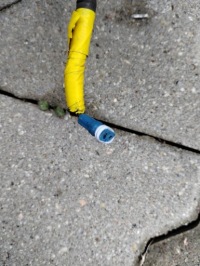 Джгут електропроводка двигуна maserati quattroporte vi 3.0b 670030375 Недорого, фото thumb