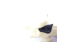 Tesla model 3 рестайлінг  фара передня ліва 1514952-00-d в Україні, фото thumb