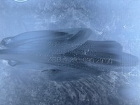 фото thumb №10, Mercedes eqc 293 n293 планка порогова ліва поріг градус лівий