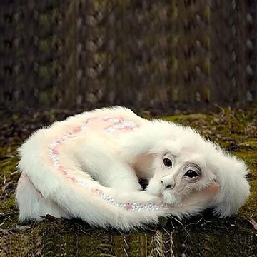 Luck Dragon Falkor Doll Плюшевая мягкая кукла по имени