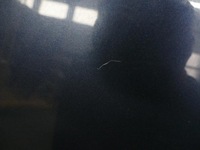 фото thumb №10, Mitsubishi outlander ii капот крышка двигателя 37e