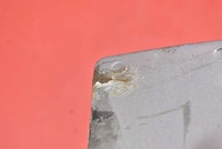 фото thumb №11, Балка бампера перед підсилювач 3m51-r10948-aa ford focus c-max mk1 1 i