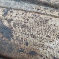 фото thumb №7, Гасник porsche cayman 987 98711351230 32577188 3.4l 235kw 2011