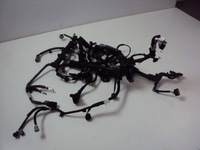 фото thumb №1, Електропроводка двигуна toyota c-hr гібрид 2019 r