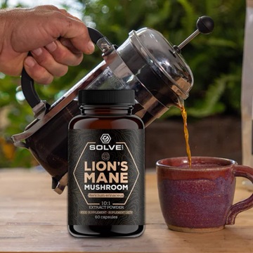ГРИБ ERRINE LION'S MANE SOLVE LABS 60 капсул ЭКСТРАКТ ЛЬВОВОГО ГРИБА 10:1