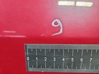 фото thumb №11, Дверь задняя левая honda jazz ii 02-08 красный