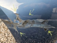 фото thumb №9, Toyota corolla e21 hb хэтчбек kombi бампер передний kompletny радар