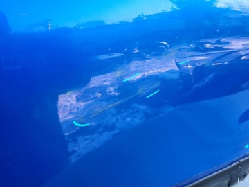 фото thumb №5, Kia ceed x 19- дверь задние правые