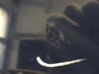 фото thumb №3, Капот renault clio iii хэтчбек 05-14