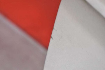 фото thumb №11, Кришка багажника зад задня 39d subaru legacy 4 iv 03-09