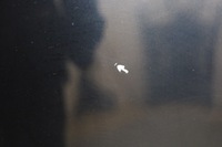 фото thumb №12, Перед bmw g30 g31 бампер капот pas переднє лампа led адаптивний крило 475