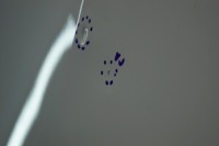 Капот крышка двигателя renault megane 3 кабриолет  teqnc в Украине, фото thumb