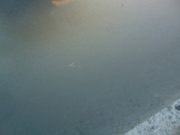 фото thumb №9, Дверь левая перед honda accord viii nh743m