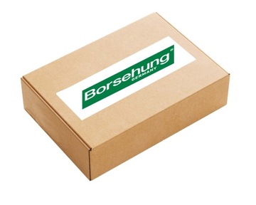 Комплект цепи ГРМ BORSEHUNG B16296