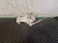 фото thumb №1, Суппорт правый задняя audi a4 b6 2.0 b