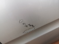 фото thumb №9, Двері лівий задня nissan navara iii d40 05-10