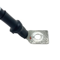 фото thumb №10, Шланг масовий renault clio v 240808542r