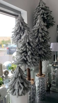 Choinka bielona na pniu 120cm