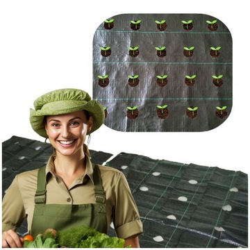 AGROTKANINA Z OTWORAMI POD SAŁATĘ OGÓRKI CEBULE CZOSNEK ITP 1,10 X 10m Z UV
