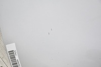 фото thumb №4, Капот кришка двигуна audi a6 c6