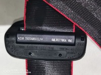 фото thumb №6, Lamborghini urus 4ml передние ремни usa