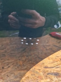 фото thumb №5, Дверь левая задняя bmw x1 u11