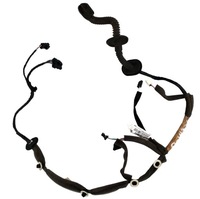 фото thumb №1, Renault scenic iii 2.0dci джгут двері права задня