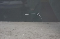 фото thumb №10, Двері лівий задня lexus is ii is220 is250