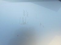 фото thumb №10, Дверь левая перед передние mitsubishi grandis a19 europa