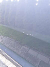 фото thumb №5, Kia sportage iii дверь правое перед передние d7 org