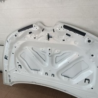 фото thumb №14, Капот renault clio v 19- 651224027r