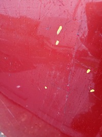 фото thumb №6, Капот renault megane 2 2002-2009