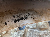 Audi a1 8xa lift s line бампер перед 8xa807437 оригінал в Україні, фото thumb