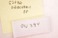 фото thumb №6, Ow394 nissan leaf i ze0 стекло правый перед 12r