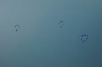 фото thumb №13, Дверь левый перед subaru justy iv 07- b57