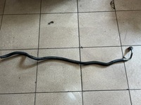 фото thumb №1, Шланг усилителя рулевой рейки audi a6 c6